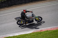 brands-hatch-photographs;brands-no-limits-trackday;cadwell-trackday-photographs;enduro-digital-images;event-digital-images;eventdigitalimages;no-limits-trackdays;peter-wileman-photography;racing-digital-images;trackday-digital-images;trackday-photos